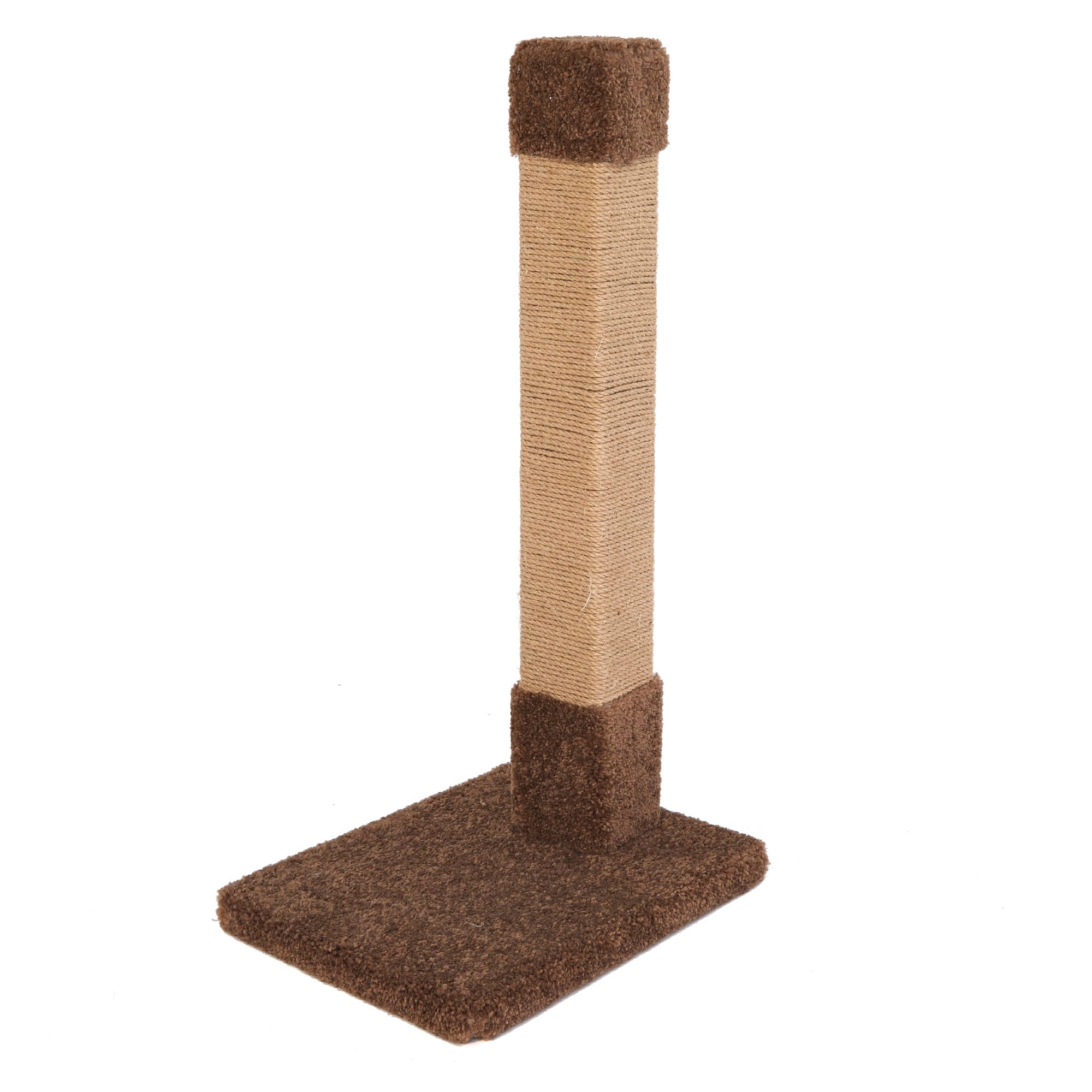 petsmart cat scratcher