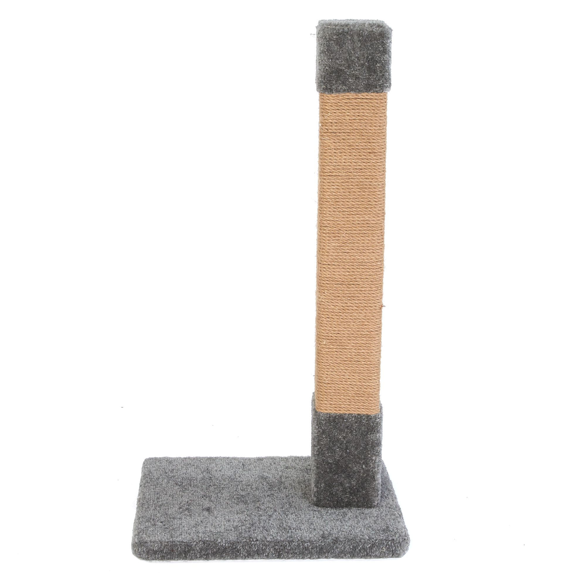 petsmart cat scratch post