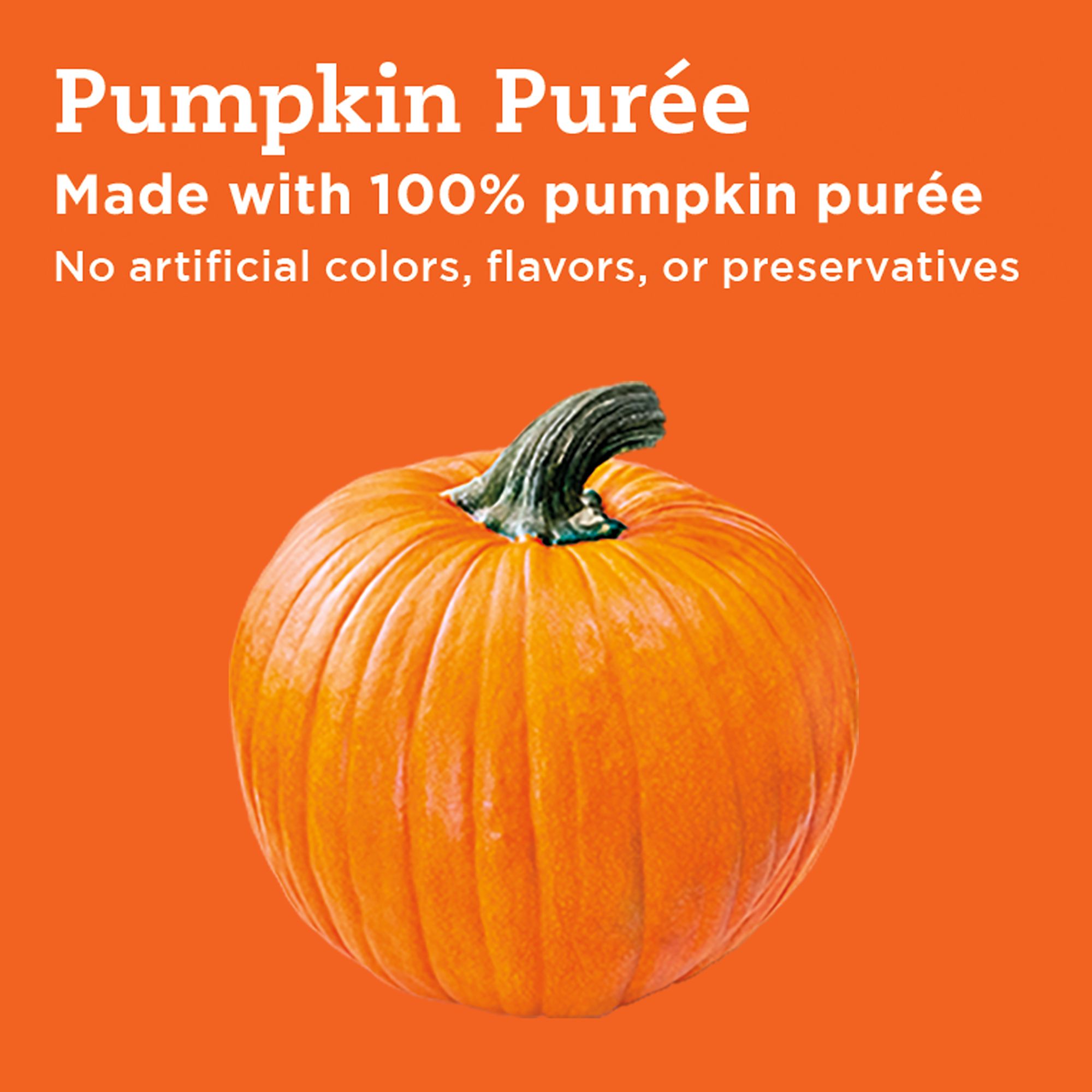 pumpkin for dogs digestion