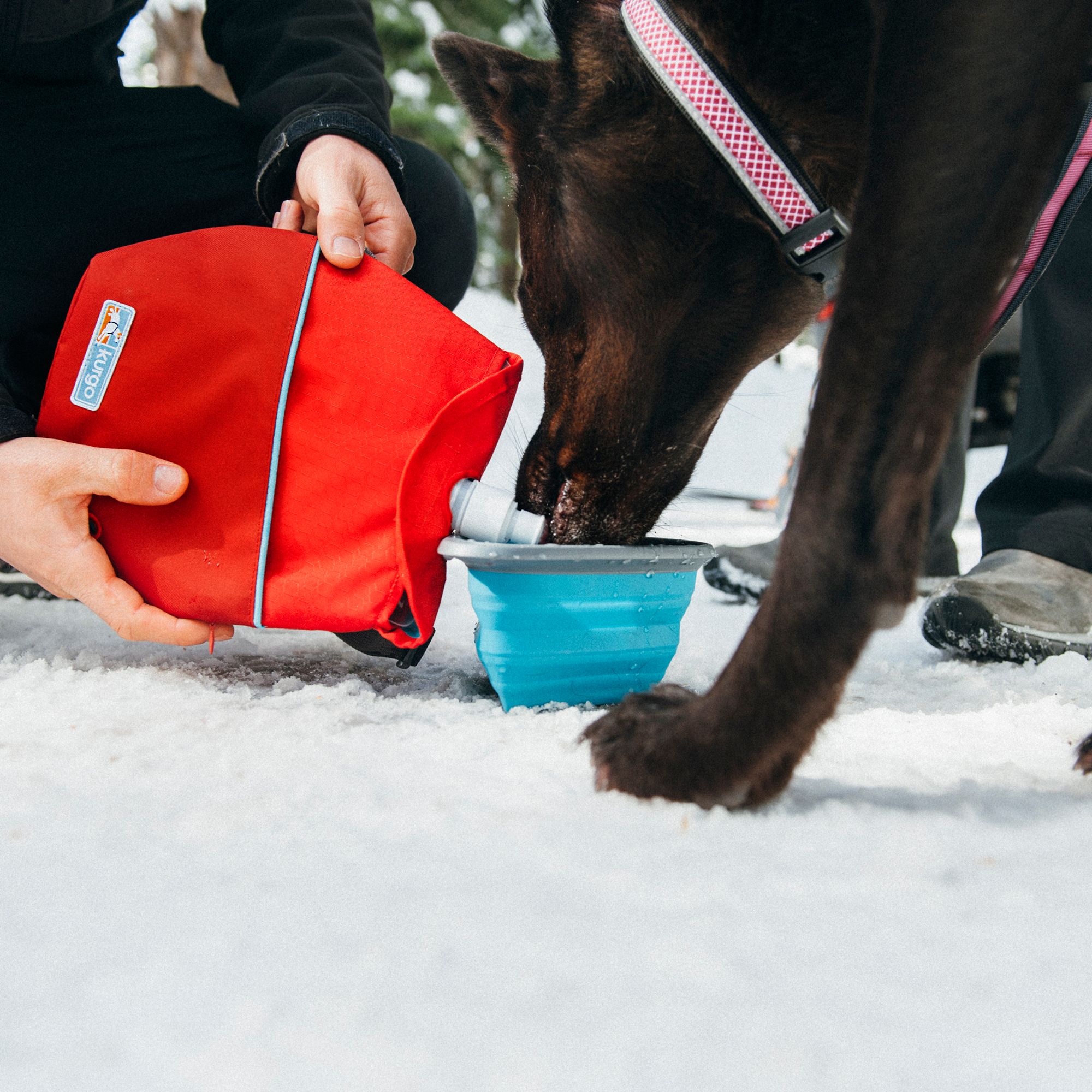 kurgo dog water bottle