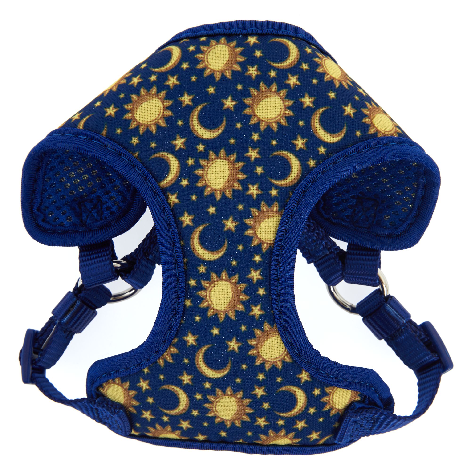 kitten harness petsmart