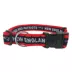 New England Patriots NFL Collar image thumbnail 1
