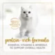 Product Fancy Feast® Pâté Wet Cat Food Variety Pack