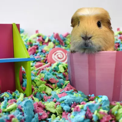 Product carefresh® Special Edition Small Pet Bedding - Tutti Frutti