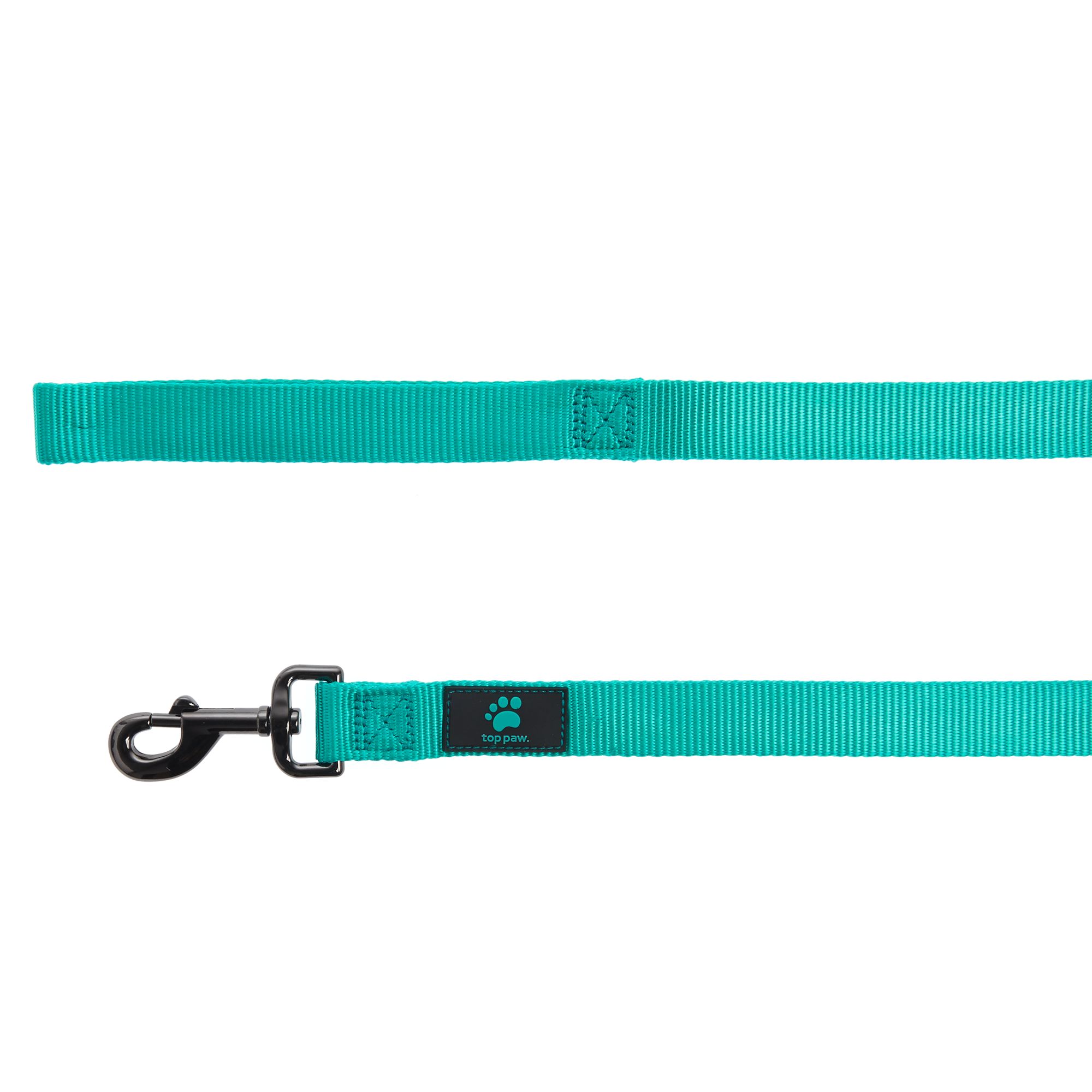 teal dog collar and leash