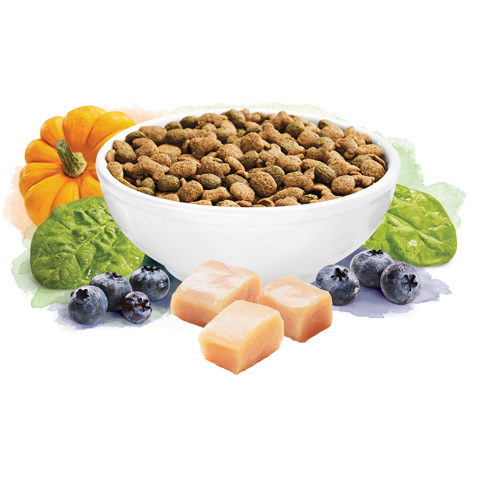 beneficial grain free dog food
