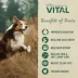 Freshpet® Vital™ Fresh Cuts All Life Stage Dog Food - Chicken image thumbnail 6