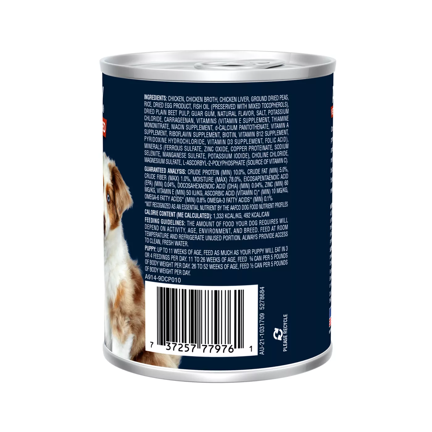 Dog food for brain health hotsell