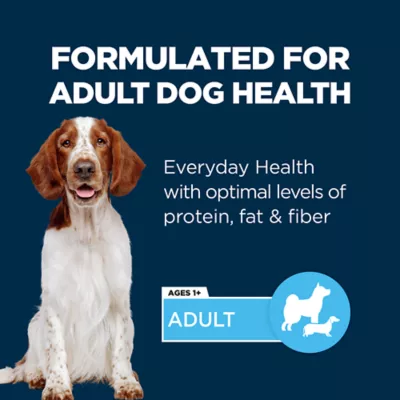 Product Authority® Everyday Health Adult Wet Dog Food - 13 Oz.