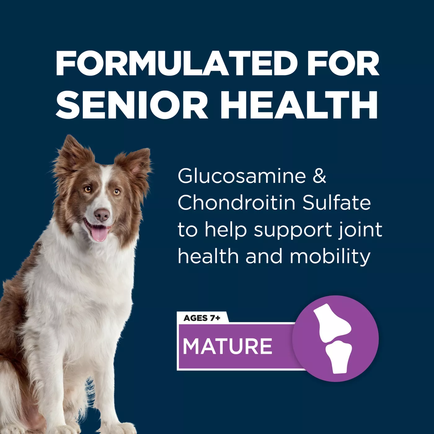 Dog food with glucosamine chondroitin and msm best sale