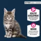 Product Authority® Everyday Health Kitten Cat Wet Food - 5.5 Oz, Pate, With-Grain