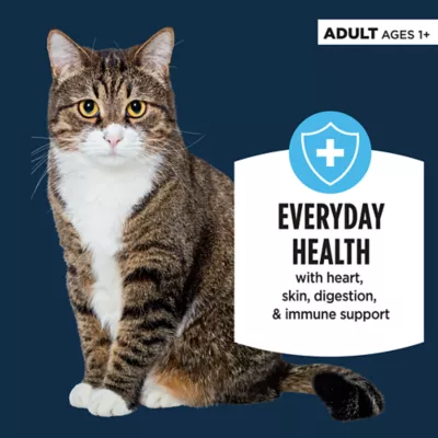 Product Authority® Everyday Health Adult Cat Wet Food - 5.5 Oz, Flaked in Gravy