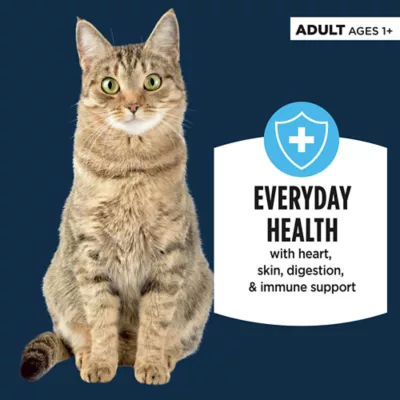 Product Authority® Everyday Health Adult Cat Wet Food - 5.5 Oz, Pate, With-Grain