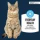 Product Authority® Everyday Health Adult Cat Wet Food - 5.5 Oz, Pate, With-Grain
