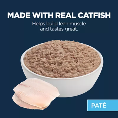Product Authority® Everyday Health Adult Cat Wet Food - 5.5 Oz, Pate, With-Grain
