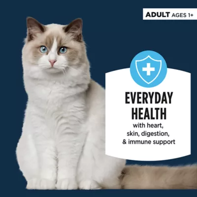 Product Authority® Everyday Health Adult Cat Wet Food - 5.5 Oz, Pate, With-Grain