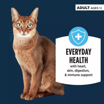 Product Authority® Everyday Health Adult Cat Wet Food - 5.5 Oz, Pate, With-Grain