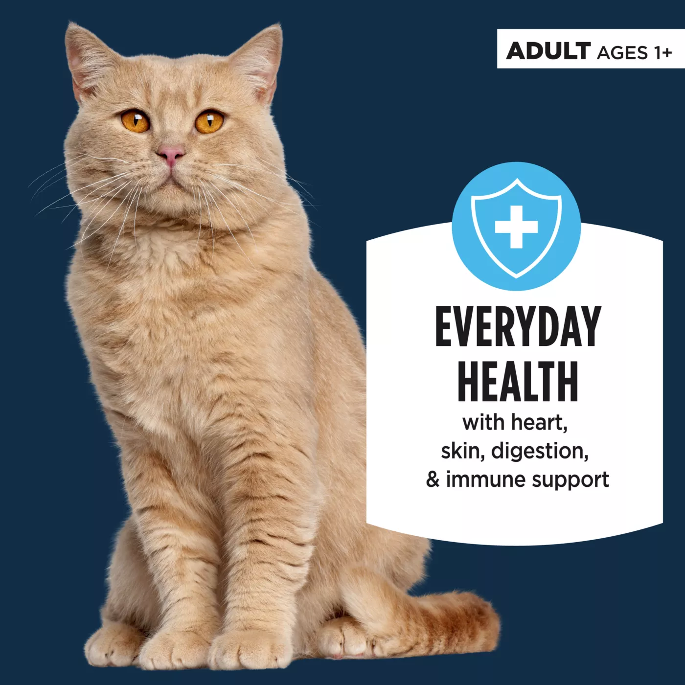 Authority Everyday Health Adult Cat Wet Food 5.5 Oz Shreds in Gravy With Grain