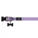 Product Top Paw® Purple or Lavendar Gunmetal Dog Collar