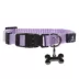 Top Paw® Purple or Lavendar Gunmetal Dog Collar image thumbnail 2