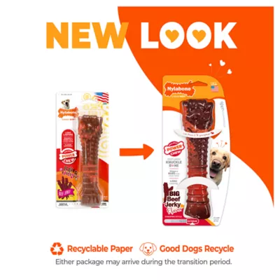 Nylabone Flavor Frenzy Power Chew Beef Jerky Dog Toy