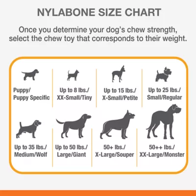 Nylabone small best sale