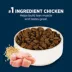 Authority® Everyday Health Large Breed Puppy Dry Dog Food - Chicken & Rice image thumbnail 4