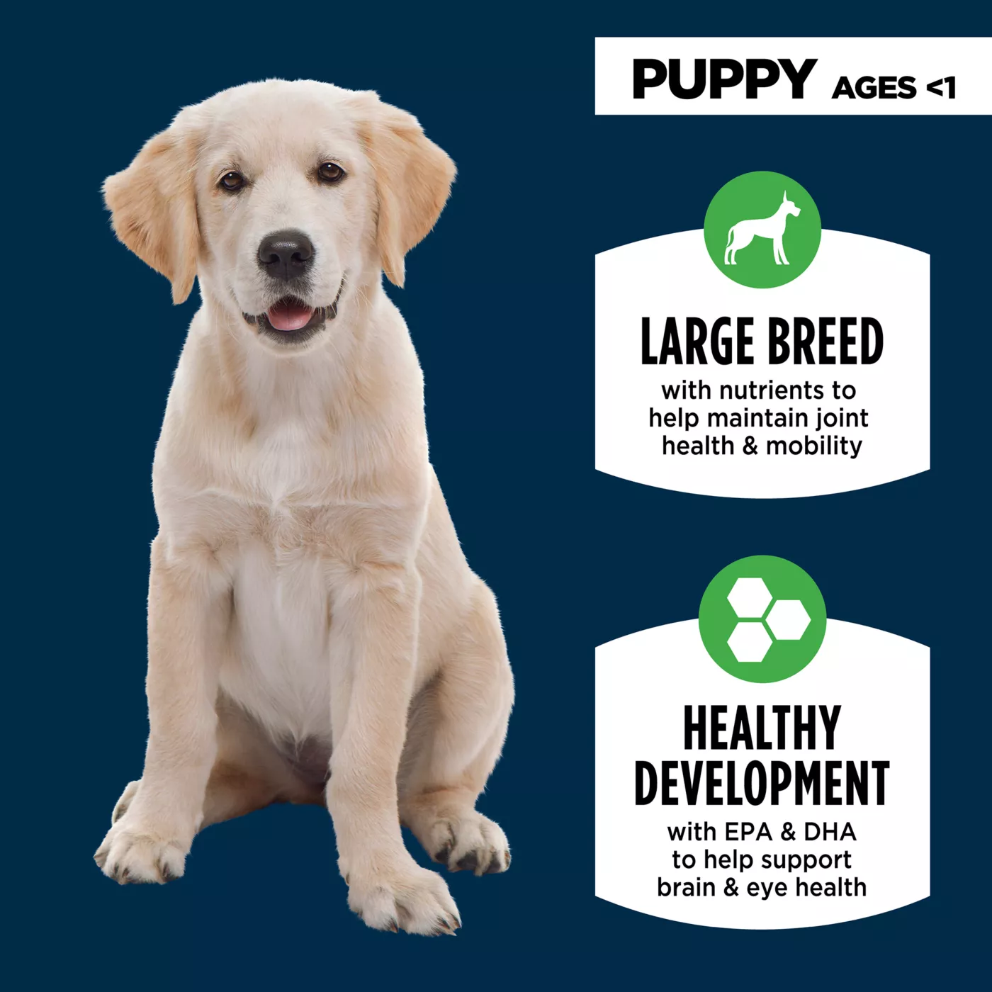 Authority puppy food feeding chart hotsell