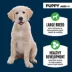 Authority® Everyday Health Large Breed Puppy Dry Dog Food - Chicken & Rice image thumbnail 3