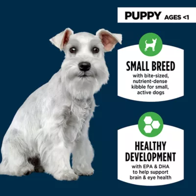 Product Authority® Everyday Health Small Breed Puppy Dry Dog Food - Chicken & Rice, 6 lb