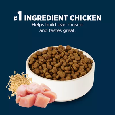 Product Authority® Everyday Health Small Breed Puppy Dry Dog Food - Chicken & Rice, 6 lb