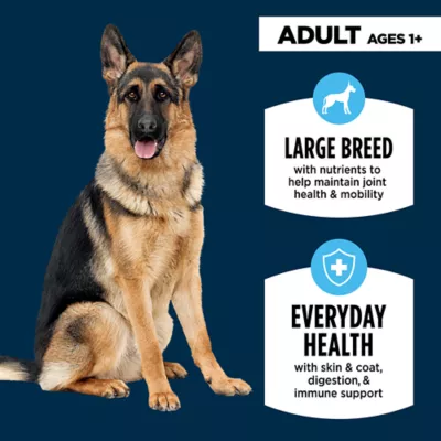 Product Authority® Everyday Health Large Breed Adult Dry Dog Food - Lamb & Rice, 34 lb