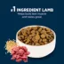 Authority® Everyday Health Large Breed Adult Dry Dog Food - Lamb & Rice, 34 lb image thumbnail 4