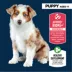 Authority® Everyday Health Puppy Dry Dog Food - Chicken & Rice image thumbnail 3