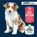 Authority® Everyday Health Puppy Dry Dog Food - Chicken & Rice image thumbnail 3