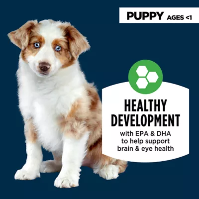 Product Authority® Everyday Health Puppy Dry Dog Food - Chicken & Rice