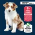 Authority® Everyday Health Puppy Dry Dog Food - Chicken & Rice image thumbnail 3
