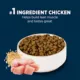 Product Authority® Everyday Health Puppy Dry Dog Food - Chicken & Rice