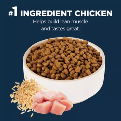 Product Authority® Everyday Health Indoor Senior Cat Dry Food - Chicken & Rice, With-Grain