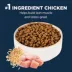 Authority® Everyday Health Indoor Senior Cat Dry Food - Chicken & Rice, With-Grain image thumbnail 3