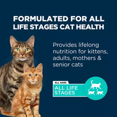 Product Authority® Everyday Health All Life Stages Dry Cat Food - Chicken, Rice & Turkey, With-Grain