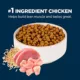 Product Authority® Everyday Health All Life Stages Dry Cat Food - Chicken, Rice & Turkey, With-Grain
