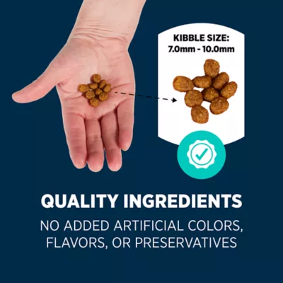 Product Authority® Everyday Health All Life Stages Dry Cat Food - Chicken, Rice & Turkey, With-Grain
