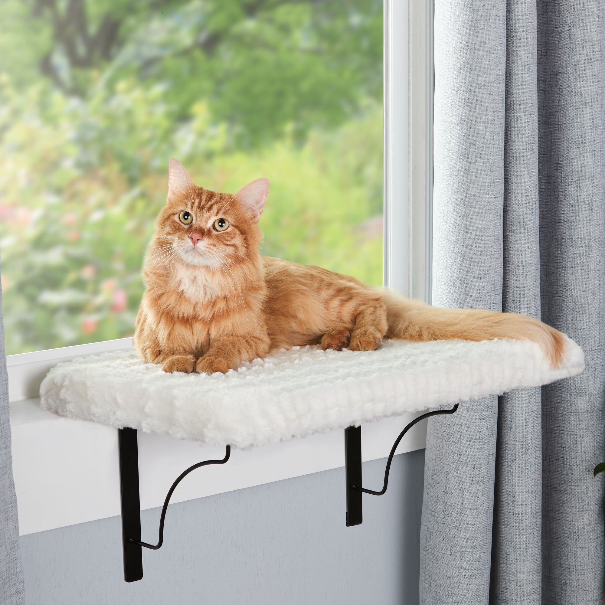 cat window perch target