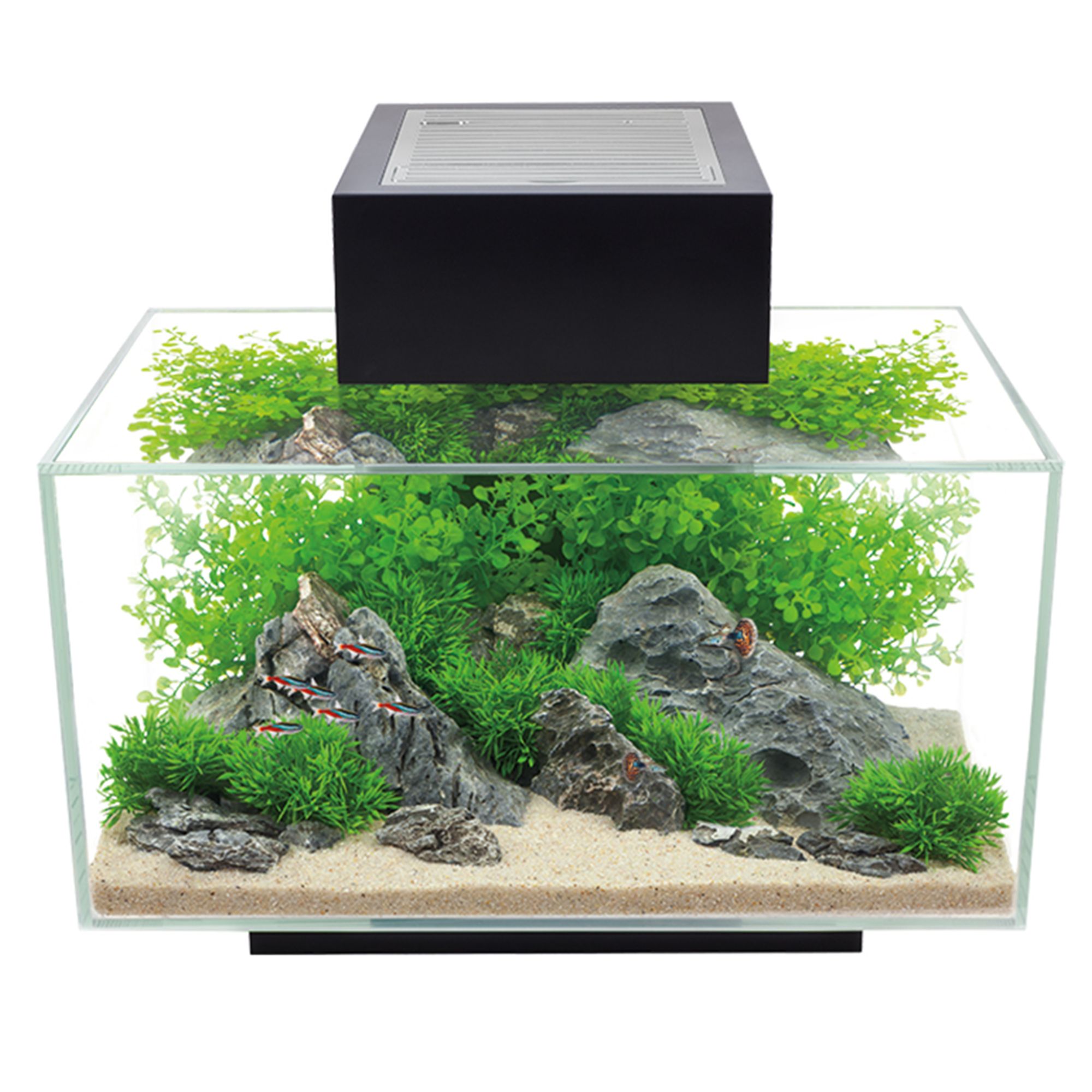 Fluval EDGE Aquarium Kit - 6 Gallon 