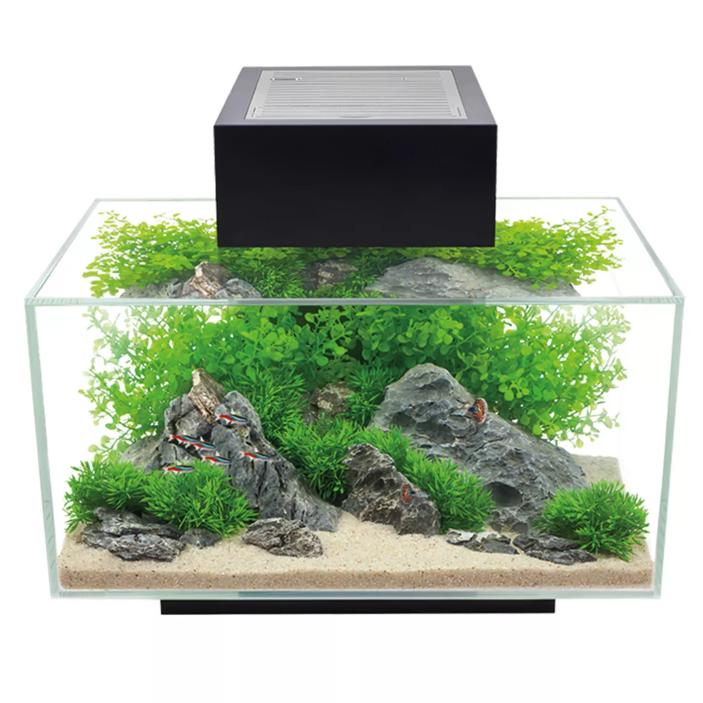 Aquarium kits for sale sale
