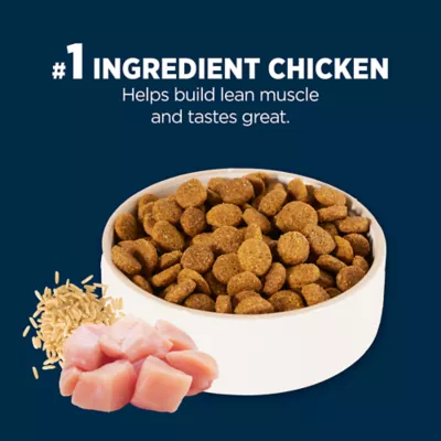 Product Authority® Everyday Health Large Breed Adult Dry Dog Food - Chicken & Rice