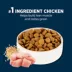 Authority® Everyday Health Large Breed Adult Dry Dog Food - Chicken & Rice image thumbnail 4