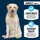 Product Authority® Everyday Health Large Breed Adult Dry Dog Food - Chicken & Rice