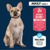 Authority® Everyday Health Small Breed Adult Dry Dog Food - Chicken & Rice image thumbnail 3